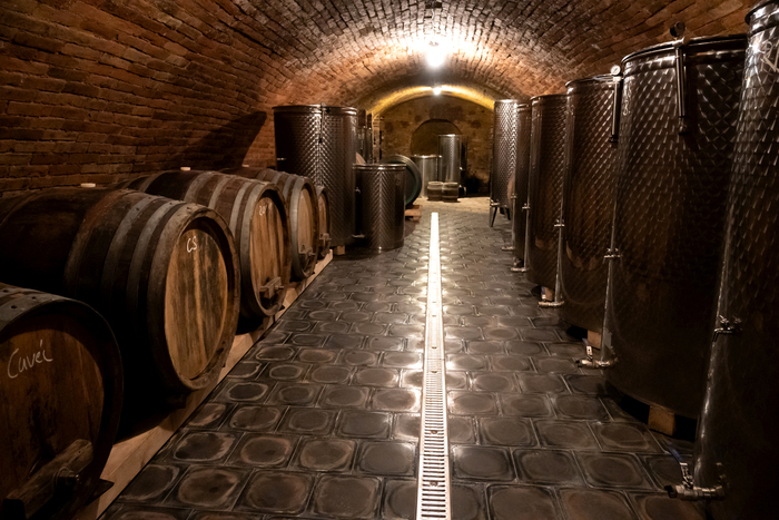 Vinný sklep - Víno Cenek